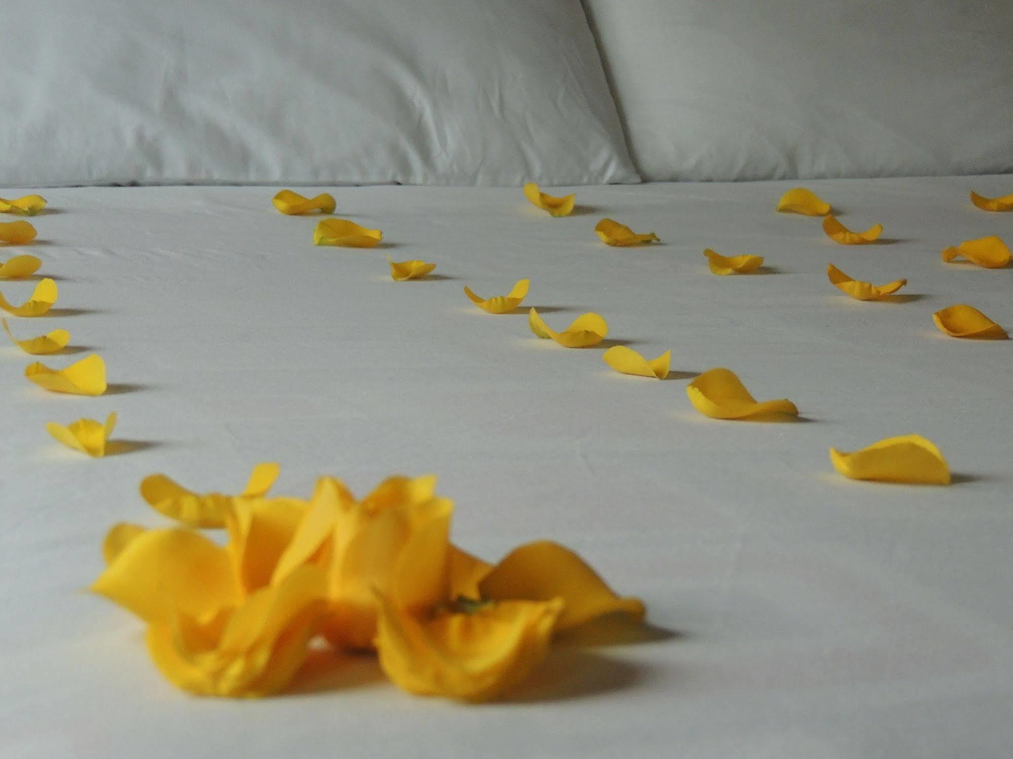 Titan Hotel & Spa Bogotá Eksteriør billede